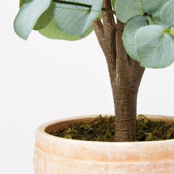 Large Artificial Eucalyptus Plant in Pot
NWT.
- Threshold designed with Studio M - Picture 3 of 3